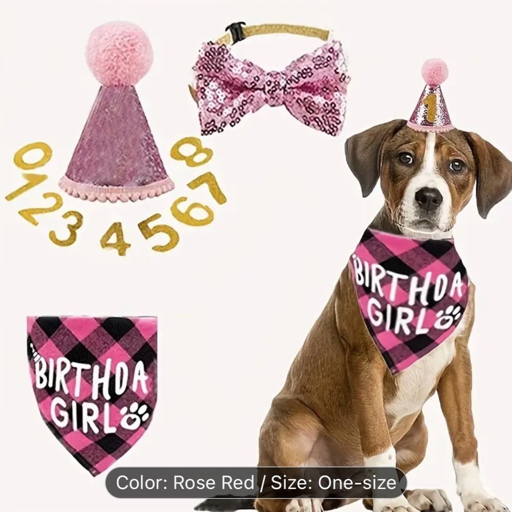 Girl Birthday Set - Picture 7 of 8